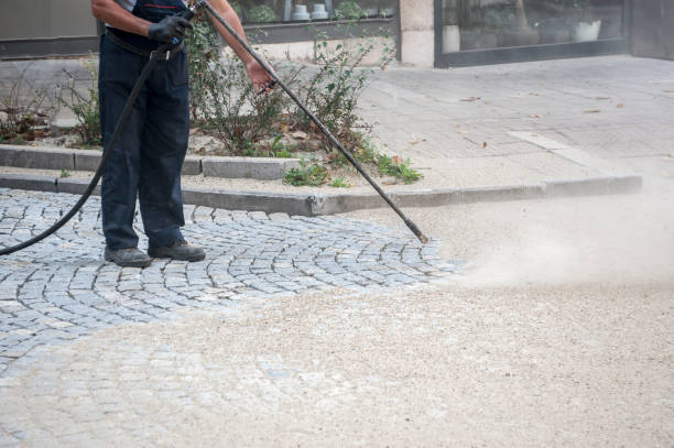 Best Pre-Holiday Cleaning  in Tarpon Springs, FL